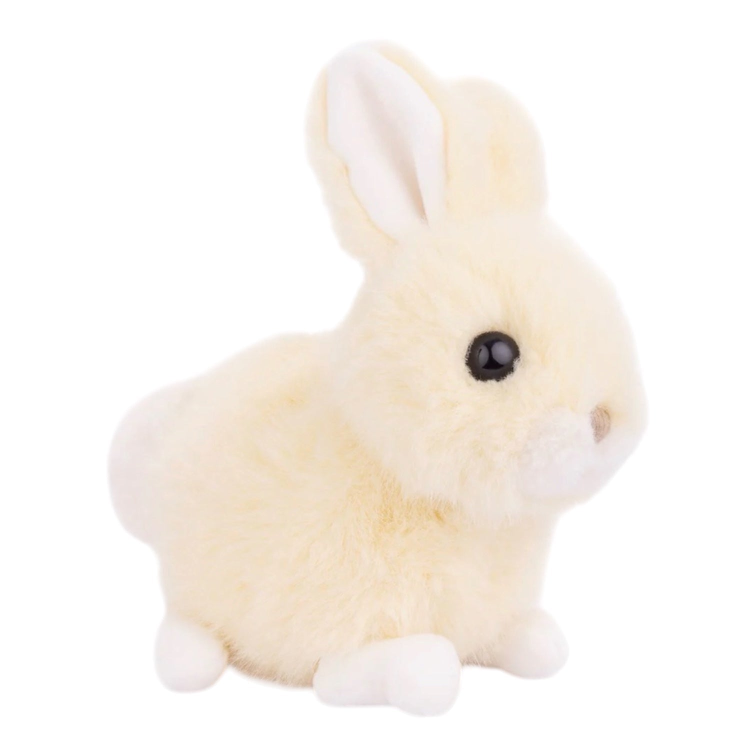 Baby Bunny - Nandy&