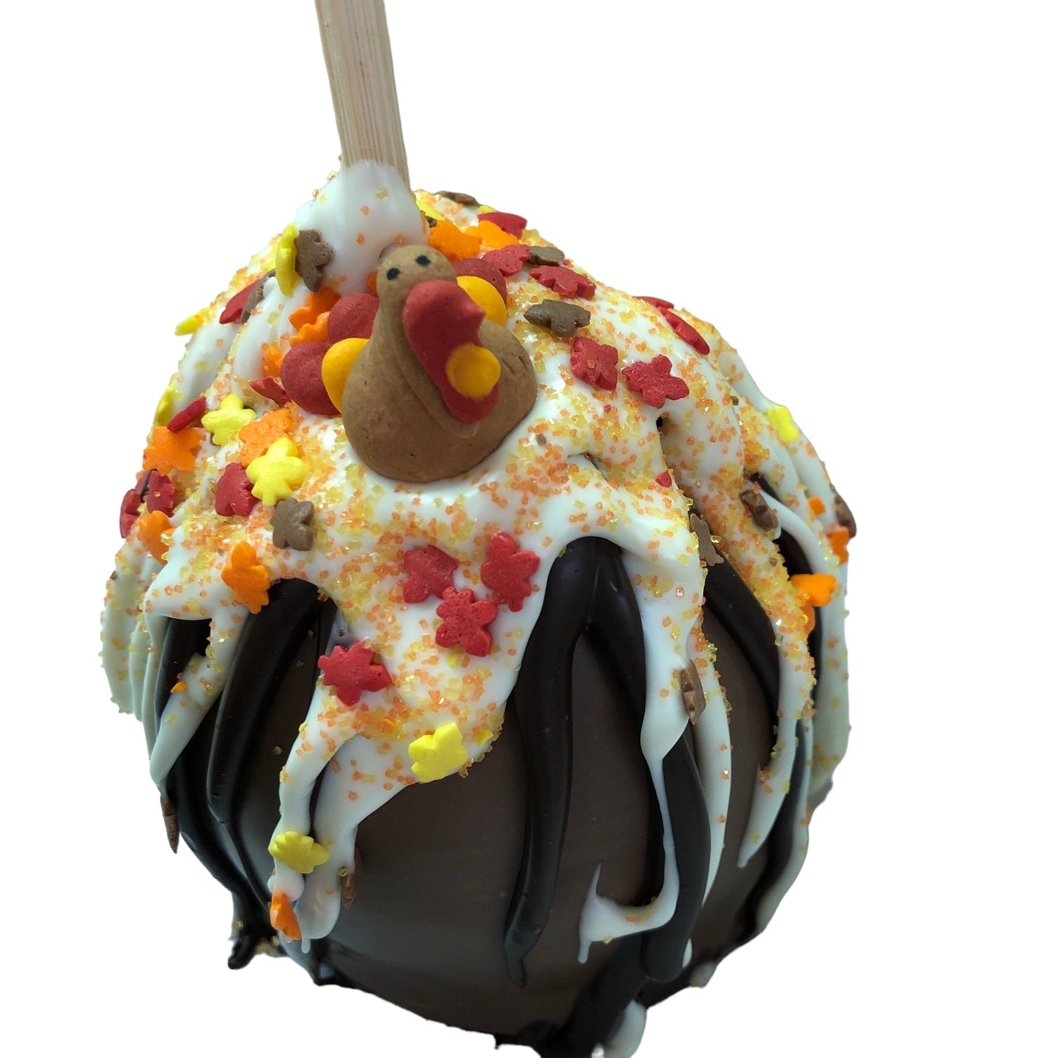 Thanksgiving Caramel Chocolate Apple - Nandy&