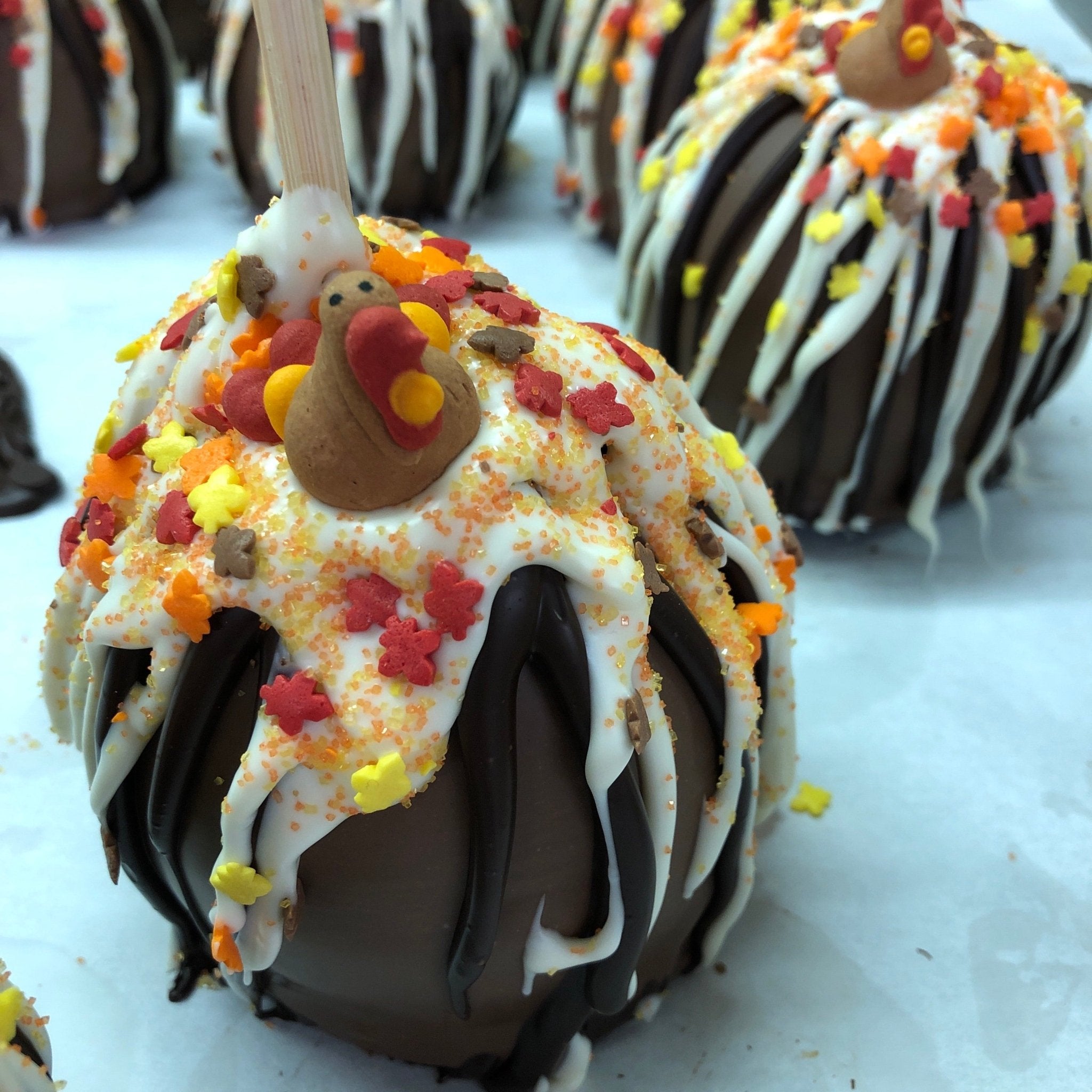 Thanksgiving Caramel Chocolate Apple - Nandy&