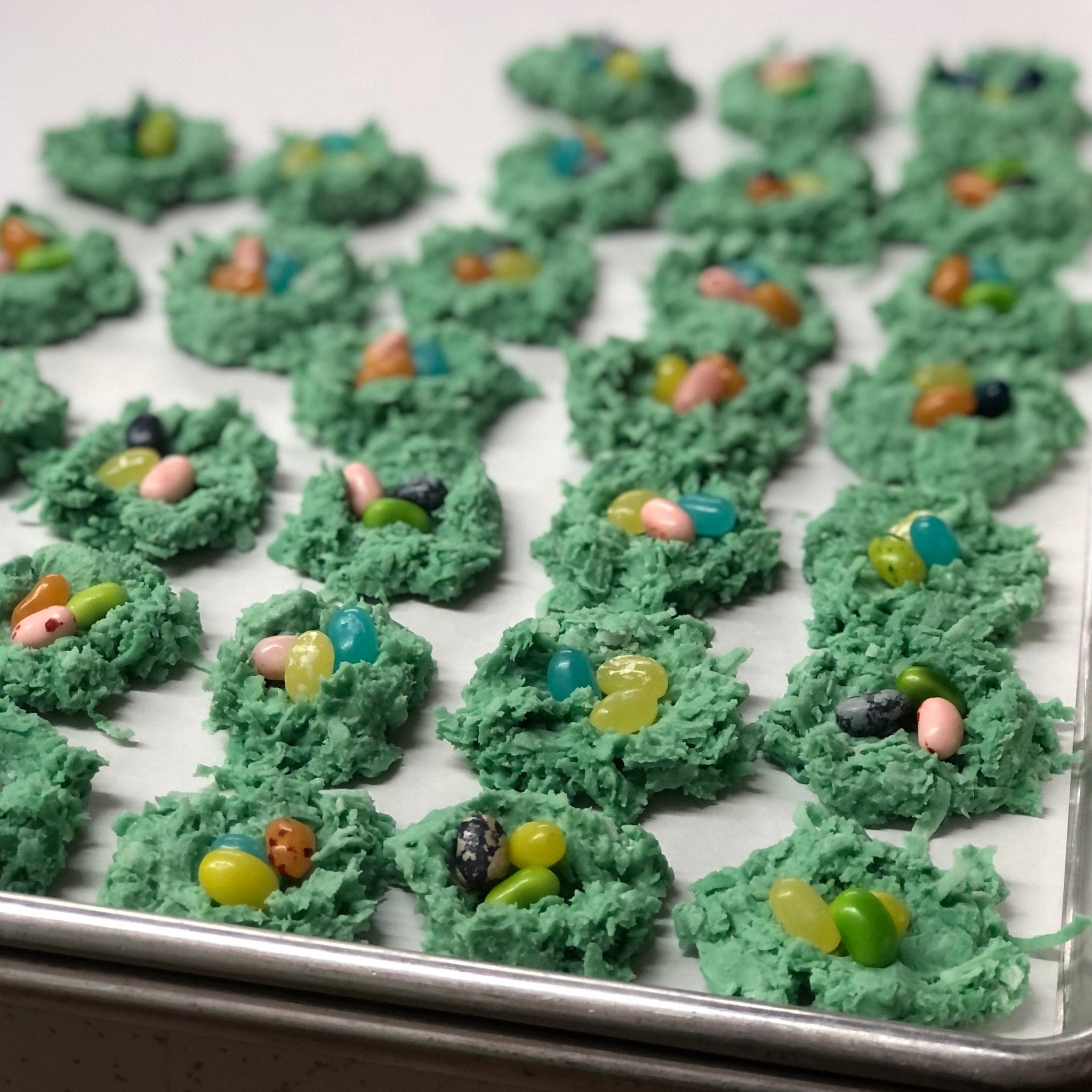 Coconut Nest - Nandy&