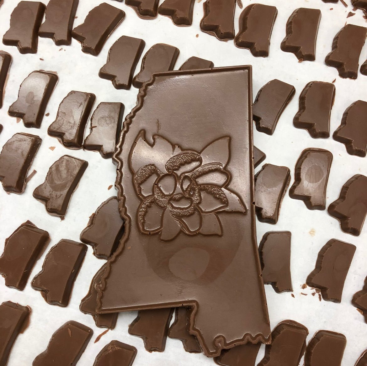 Large Chocolate Mississippi with Magnolia - Nandy&