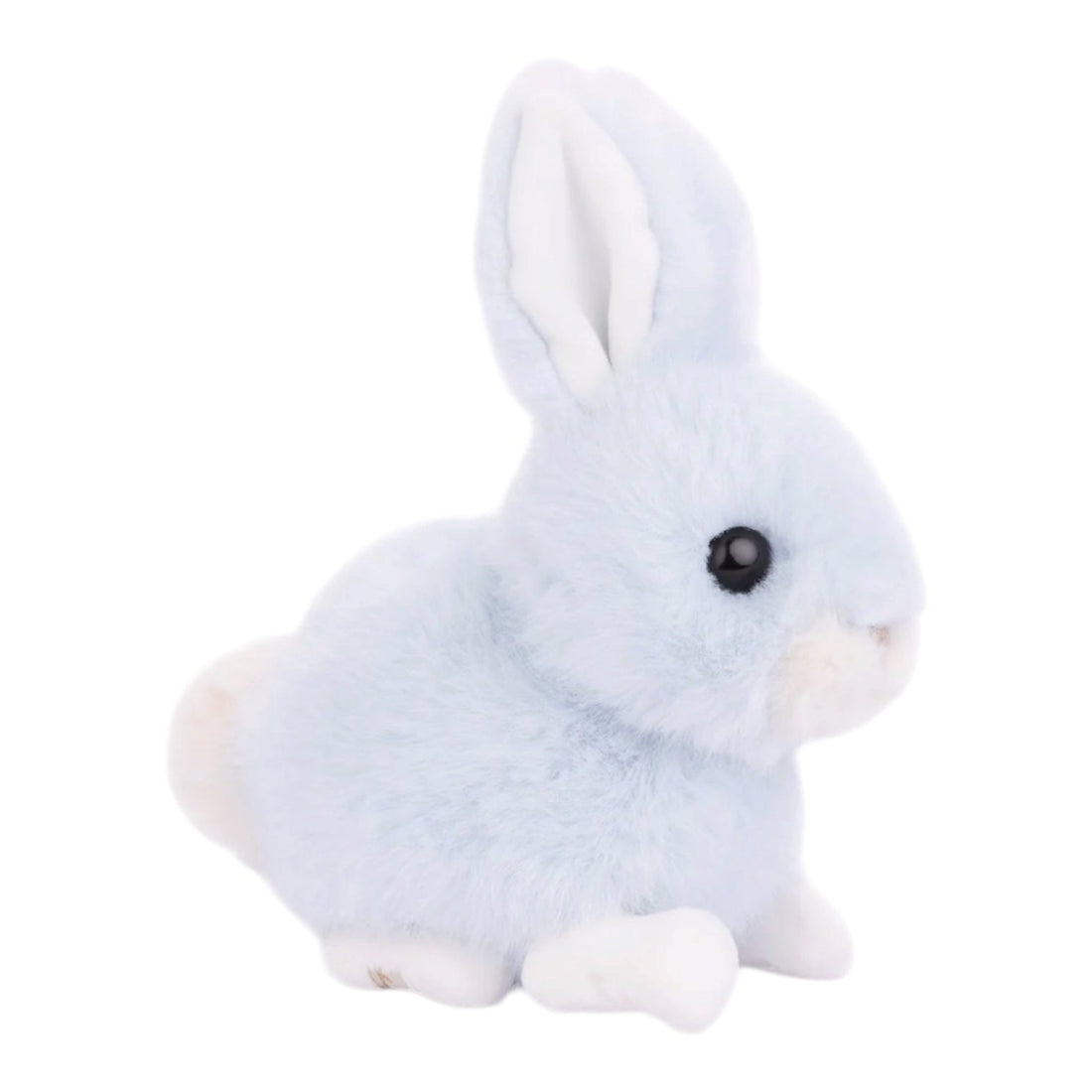 Baby Bunny - Nandy&