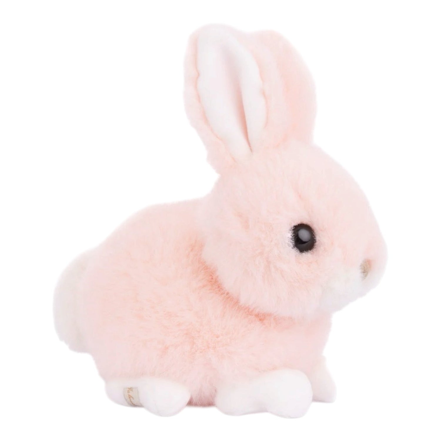 Baby Bunny - Nandy&
