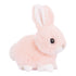 Baby Bunny - Nandy&
