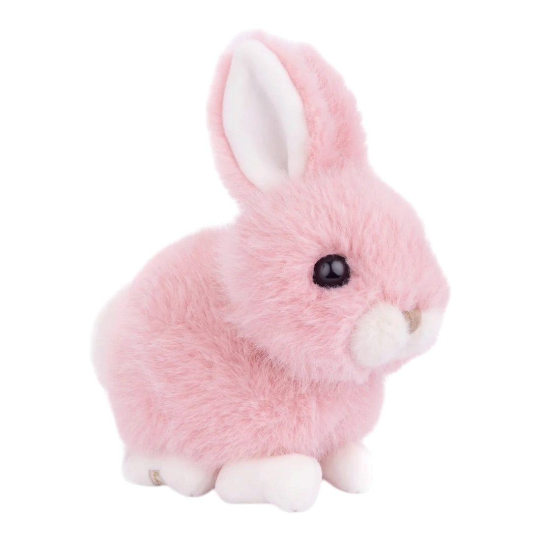 Baby Bunny - Nandy&