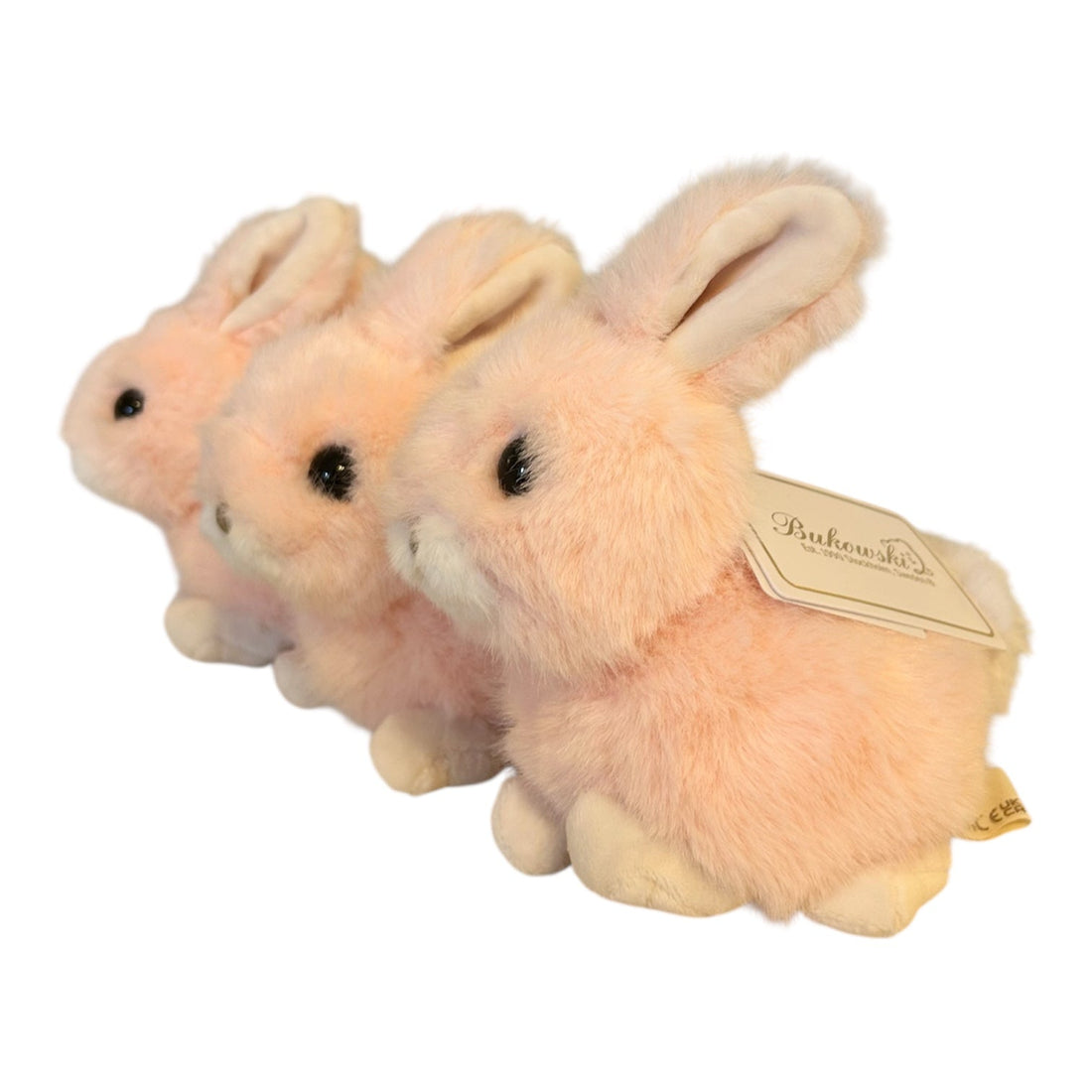 Baby Bunny - Nandy&