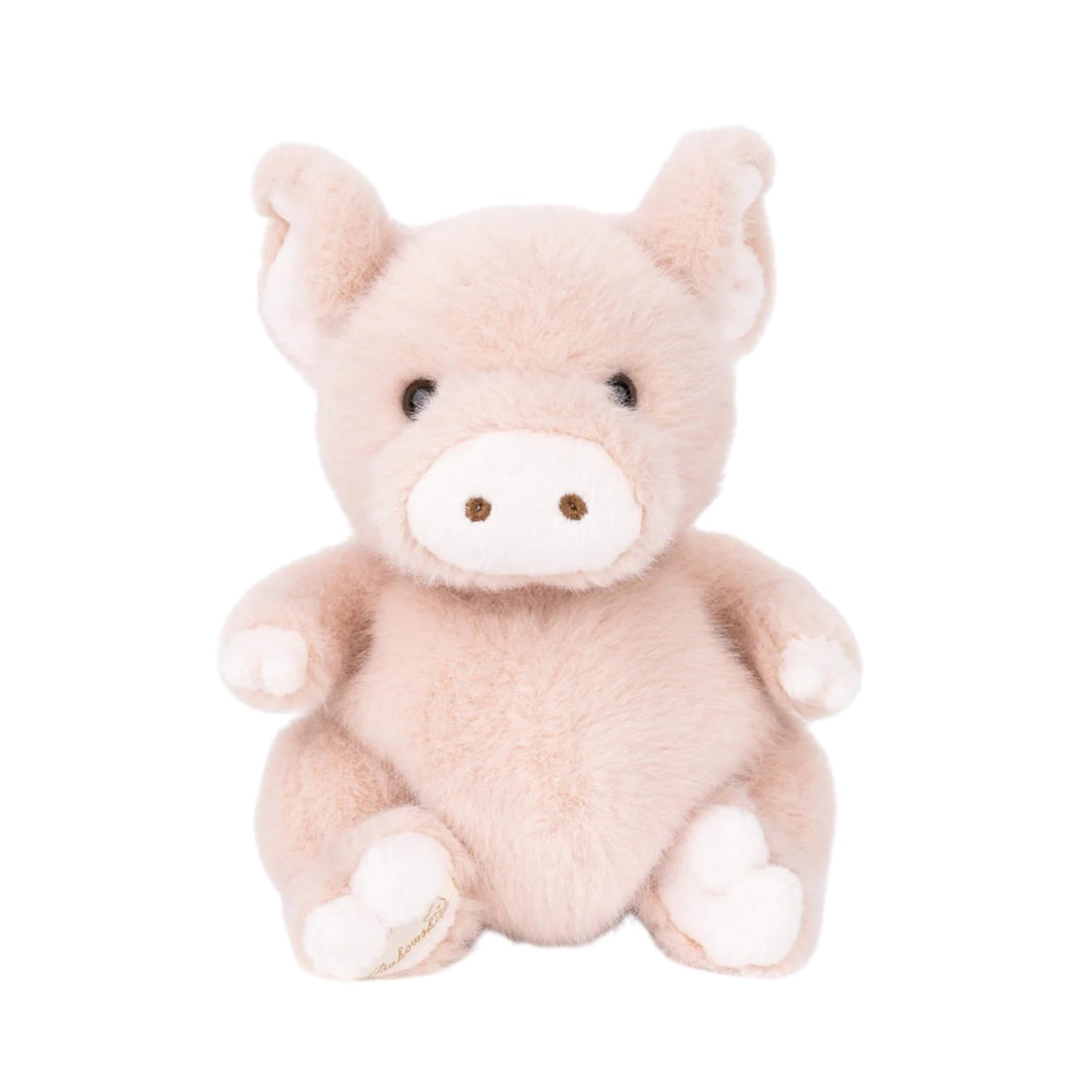 Baby Oink - Nandy&