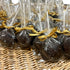 Carmallow Pops - Nandy&