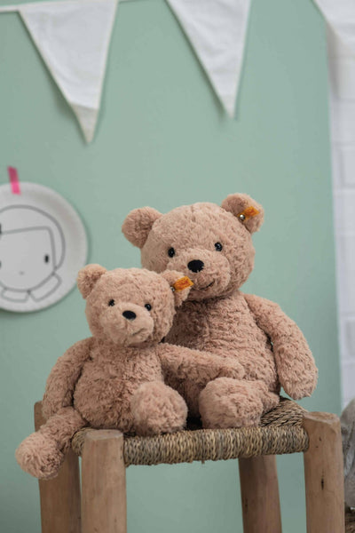 Jimmy Teddy Bear Plush Toy, 12 Inches - Nandy's CandyJimmy Teddy Bear Plush Toy, 12 Inches