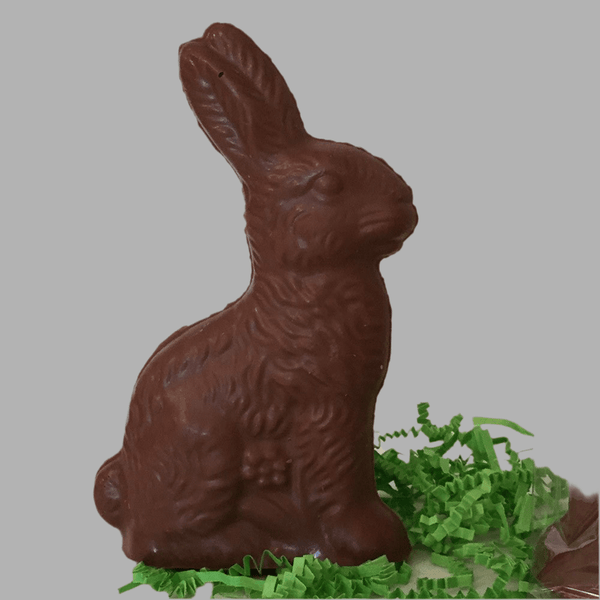 JR. Solid Chocolate Rabbit - Nandy's CandyJR. Solid Chocolate Rabbit