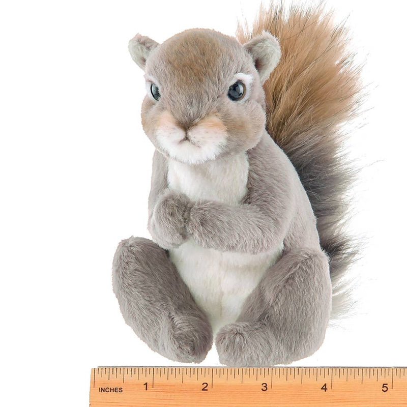 Lil' Peanut the Squirrel - Nandy's CandyLil' Peanut the Squirrel