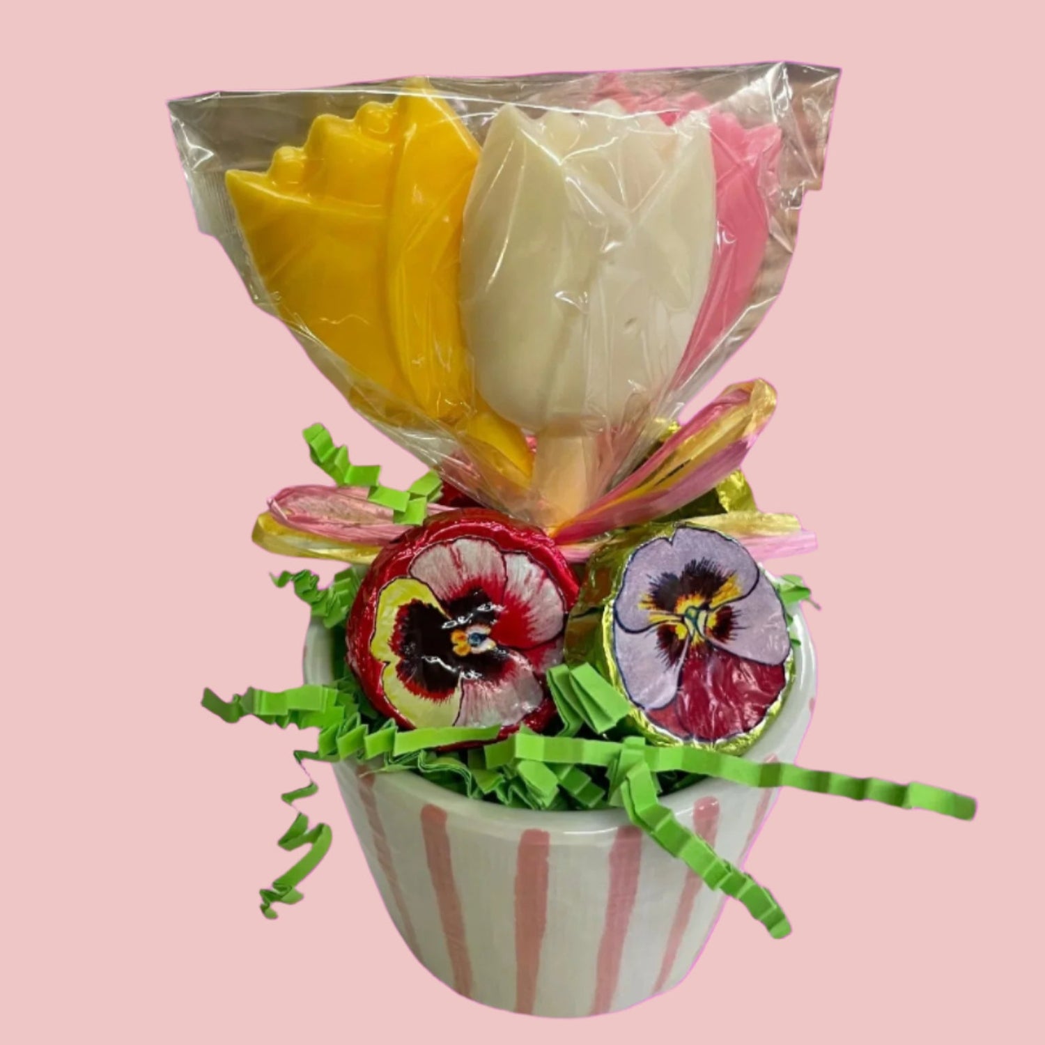 Tulip 🌷 Pots - Nandy&