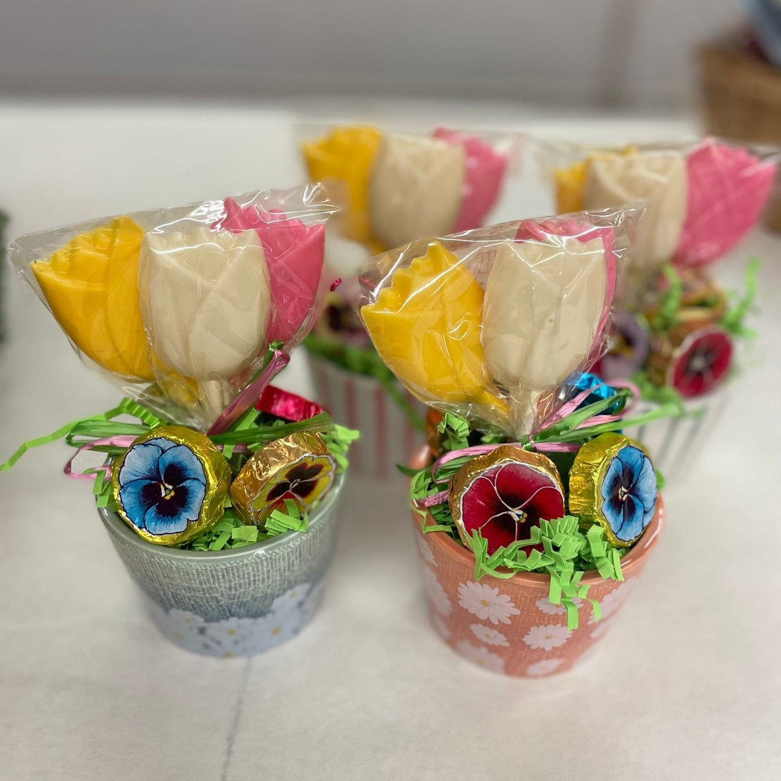 Tulip 🌷 Pots - Nandy&