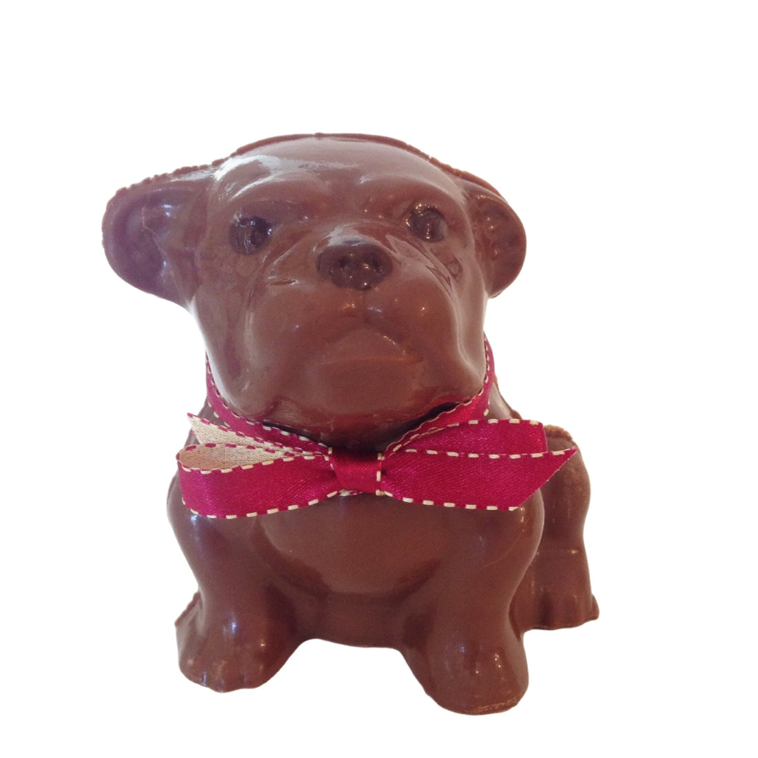 Chocolate Bulldog - Nandy&