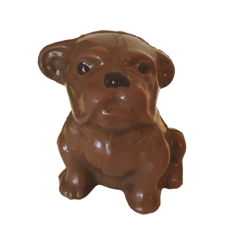 Chocolate Bulldog - Nandy&