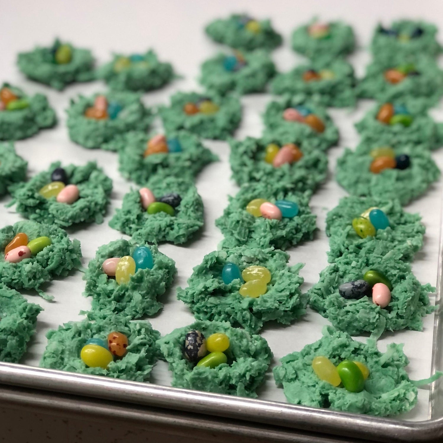Coconut Nest - Nandy&